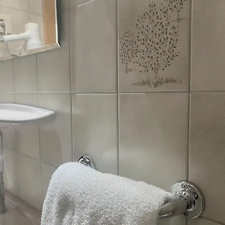Parkhotel 3* 에센